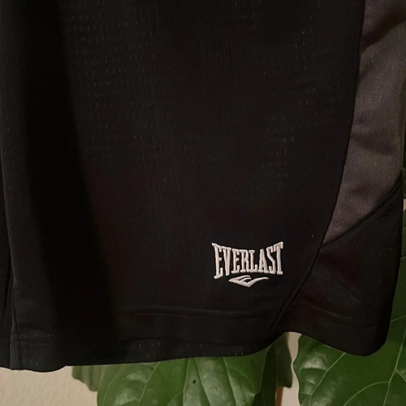 Everlast Shorts. Size Small - Picture 2 of 5